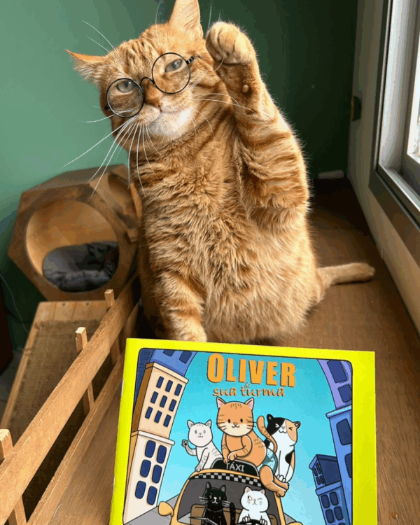 Álbum de colorir Oliver e sua turma